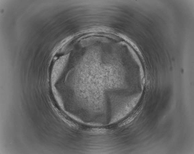 X0000079330437200612151846