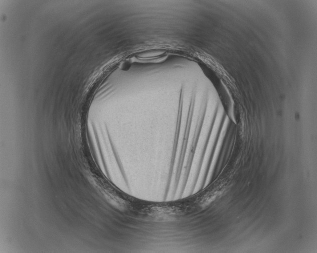 X0000079330442200612151846