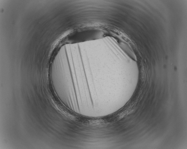 X0000079330446200612151846