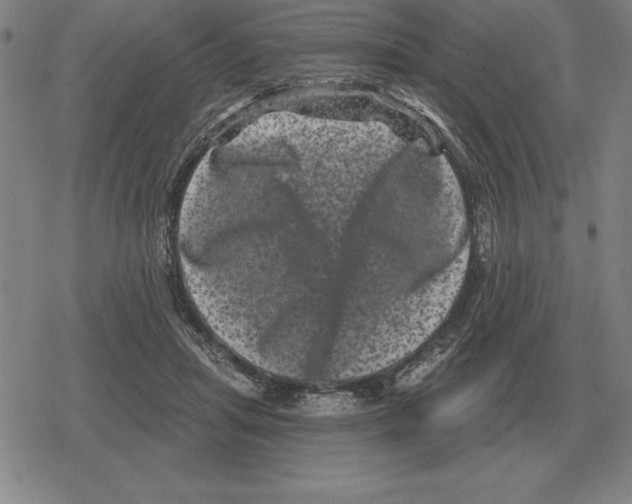 X0000079330455200612151846