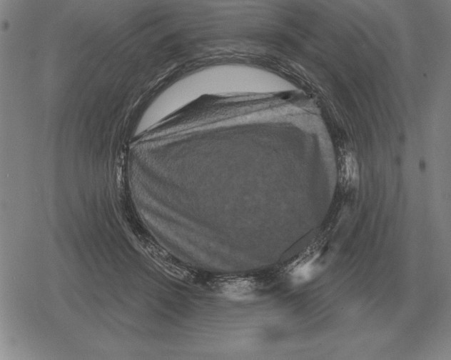 X0000079330456200612151846