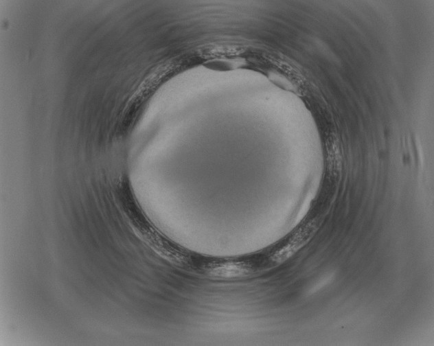 X0000079330460200612151846