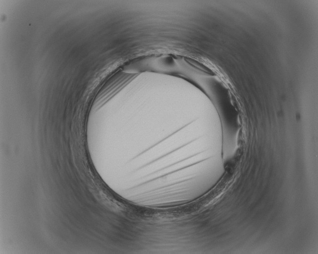 X0000079330481200612151846