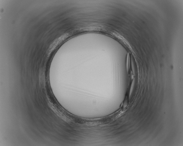X0000079330482200612151846