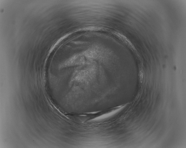 X0000079330484200612151846