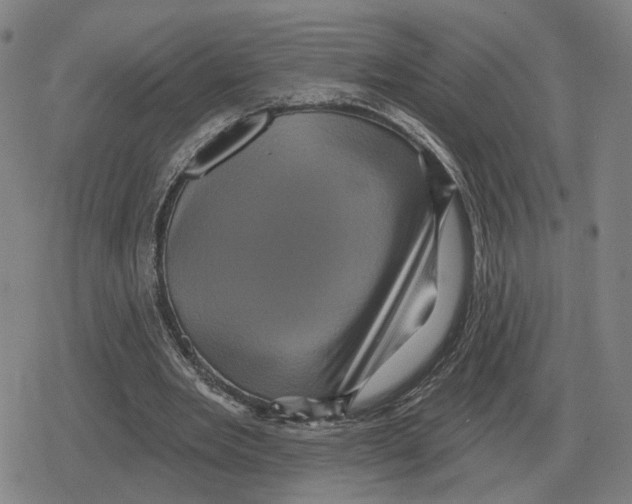 X0000079330485200612151846
