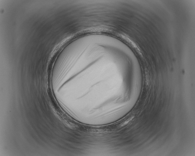 X0000079330486200612151846