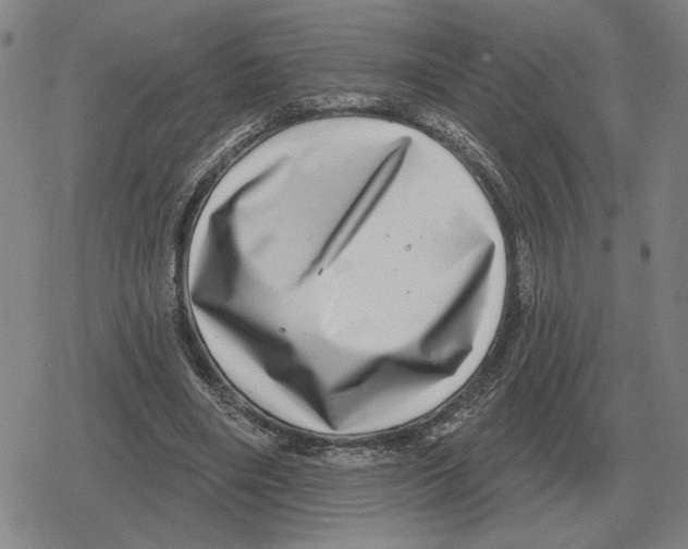 X0000079330490200612151846