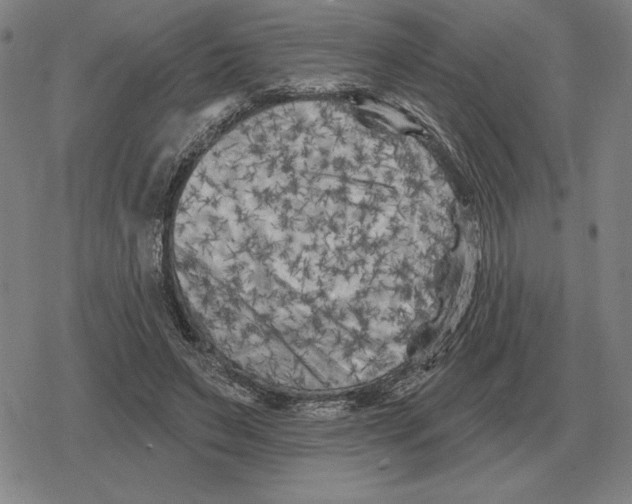 X0000079330495200612151846