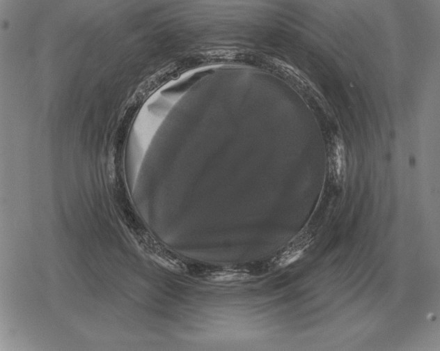 X0000079330504200612151846