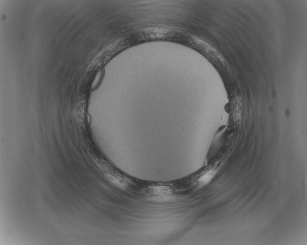 X0000079330509200612151845
