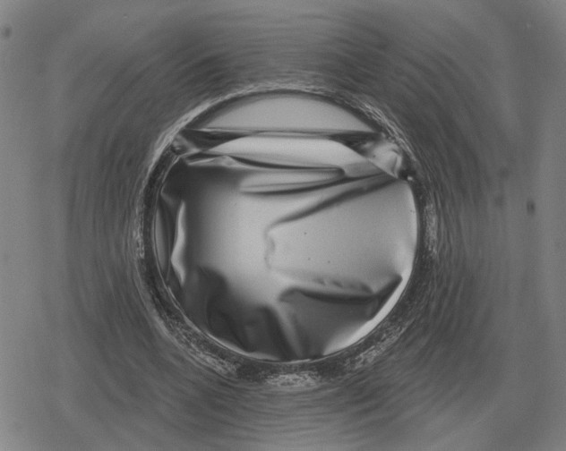 X0000079330536200612151844