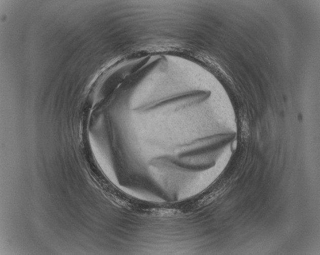 X0000079330539200612151845
