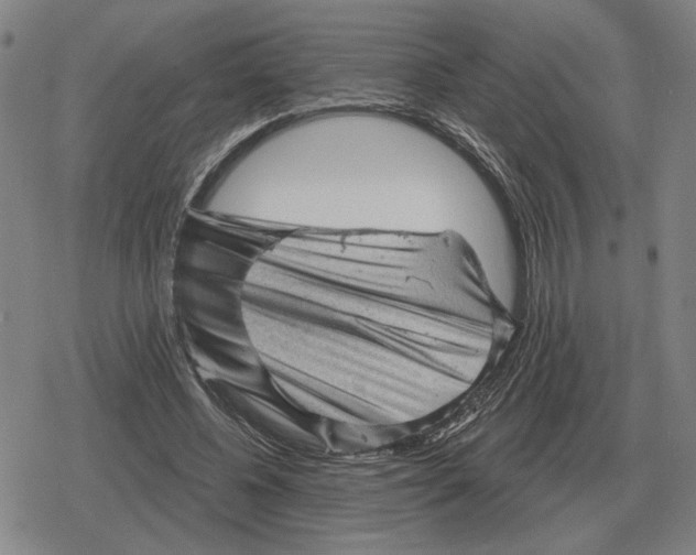 X0000079330540200612151845