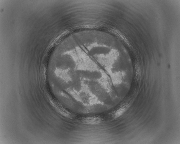 X0000079330542200612151845