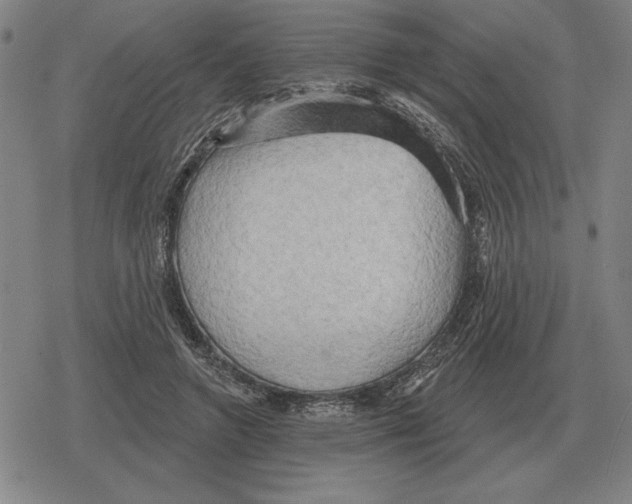 X0000079330546200612151845