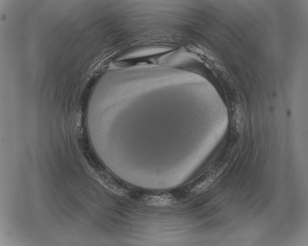 X0000079330548200612151845