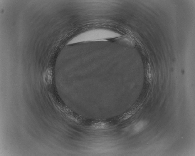 X0000079330551200612151845