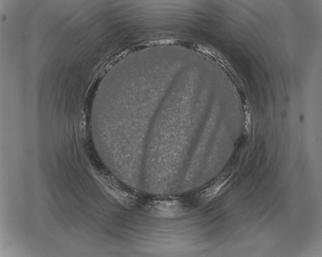 X0000079330552200612151845