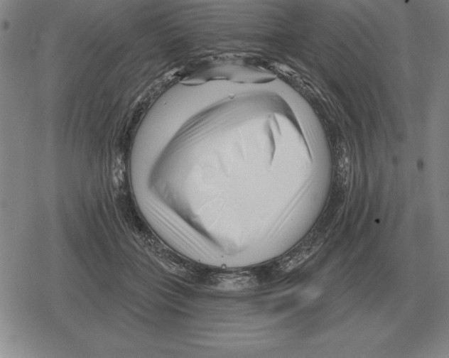 X0000079330555200612151845