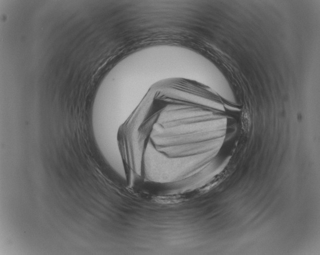 X0000079330556200612151845