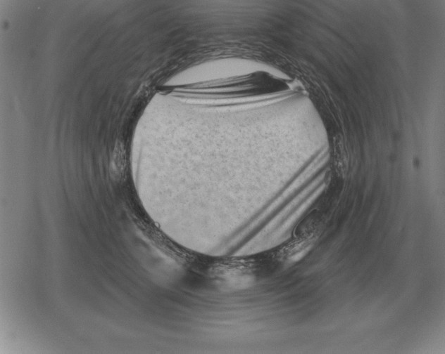 X0000079330563200612151845