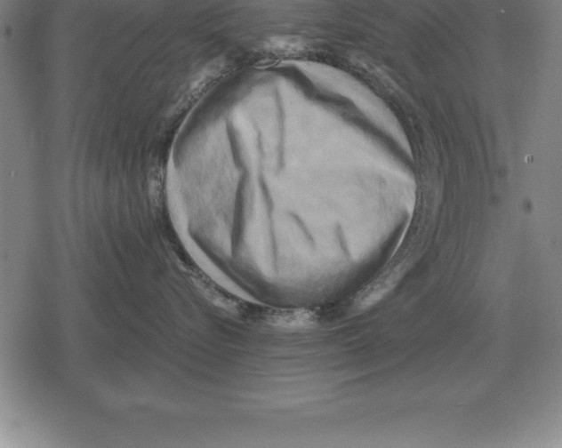 X0000079330576200612151845