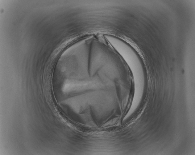 X0000079330577200612151844