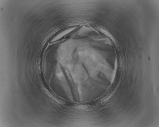 X0000079330585200612151844