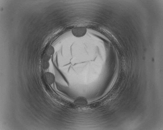 X0000079330586200612151844