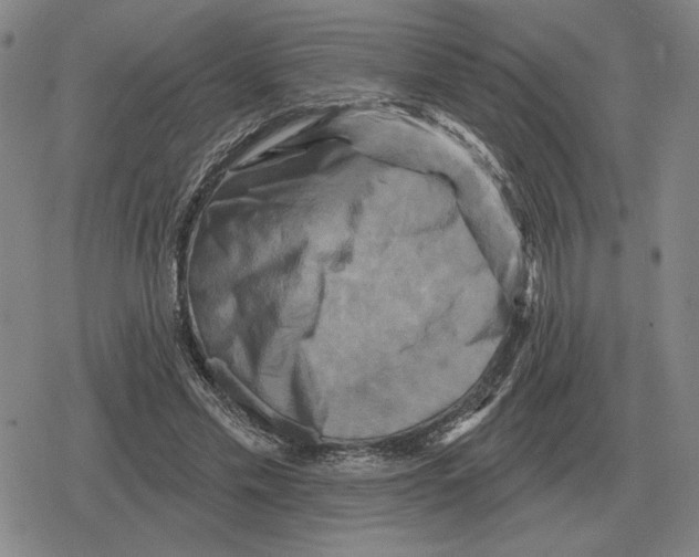 X0000079330589200612151844