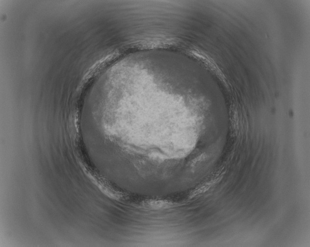 X0000079330590200612151844