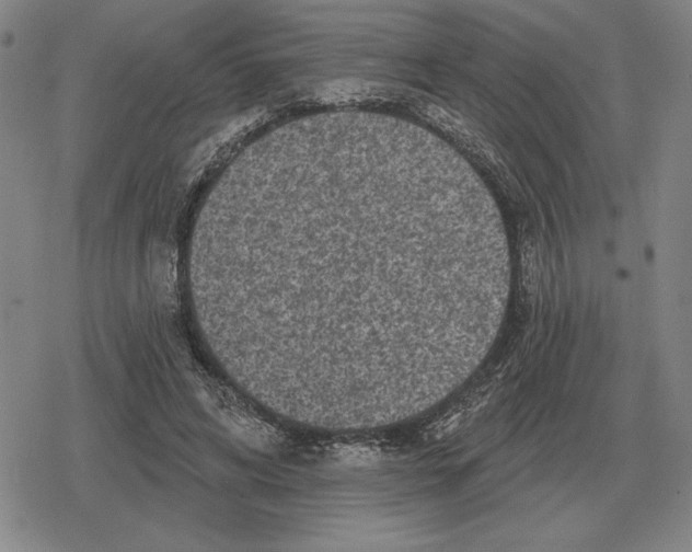 X0000079330592200612151844