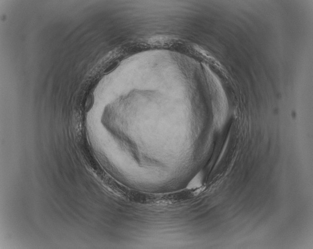 X0000079330593200612151844