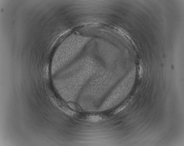 X0000079330596200612151844