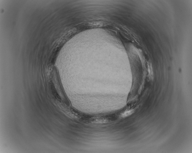X0000079330601200612151844