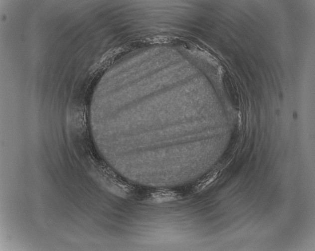 X0000079330603200612151844