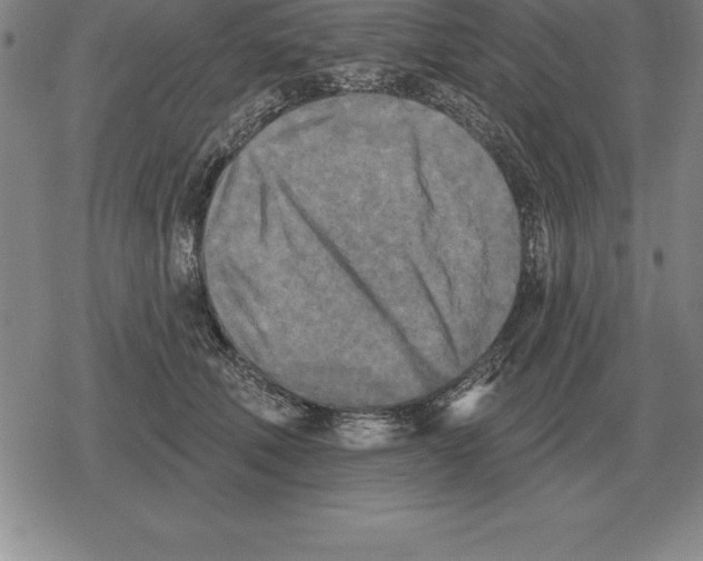 X0000079330610200612151844