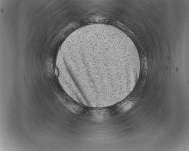 X0000079330615200612151844