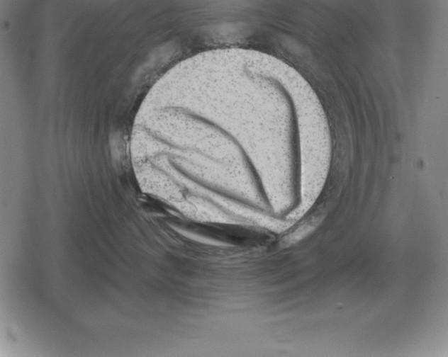 X0000079330624200612151844