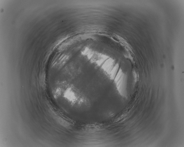 X0000079330627200612151843