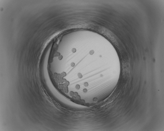 X0000079330628200612151843