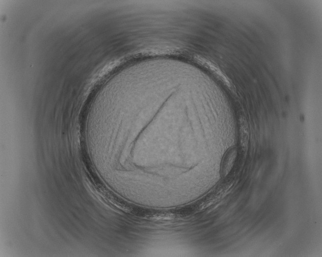 X0000079330631200612151843