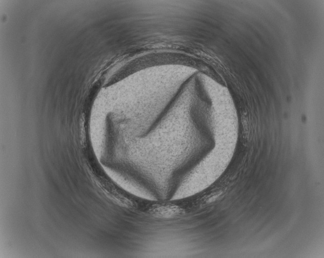 X0000079330642200612151843