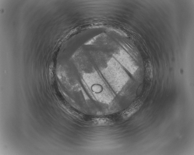 X0000079330654200612151843