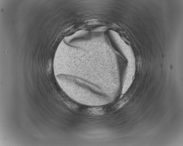 X0000079330660200612151843