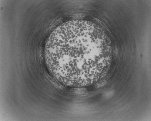 X0000079330663200612151843