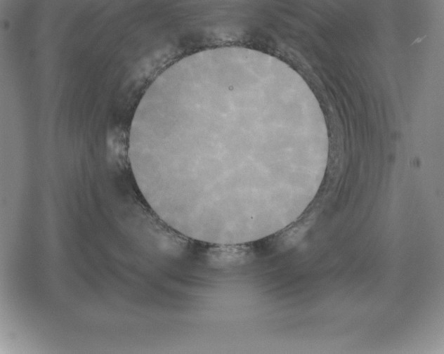 X0000079330672200612151844