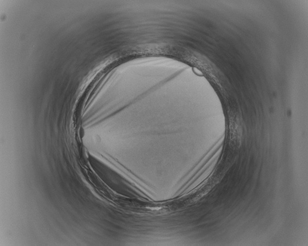 X0000079330674200612151843