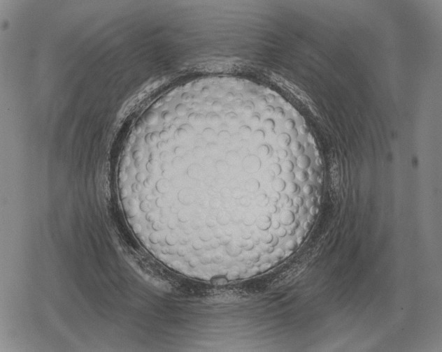 X0000079330682200612151843